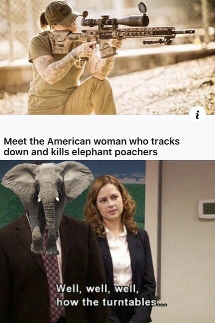 well well well how the turntables - Meet the American woman who tracks down and kills elephant poachers Well, well, well, how the turntables....
