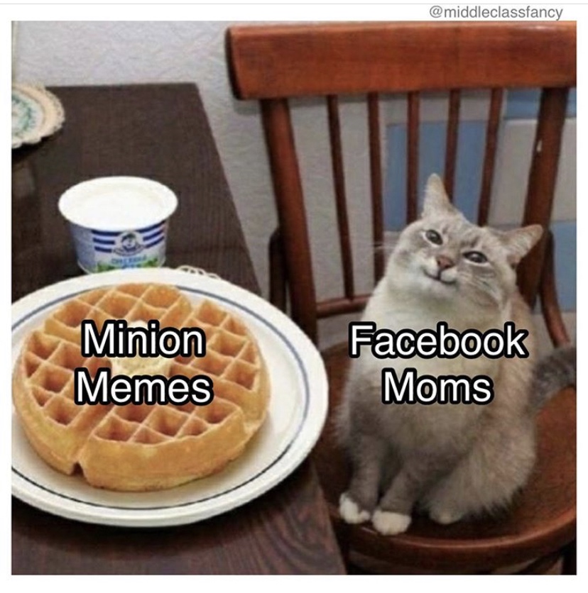 new meme templates - Minion Memes Facebook Moms