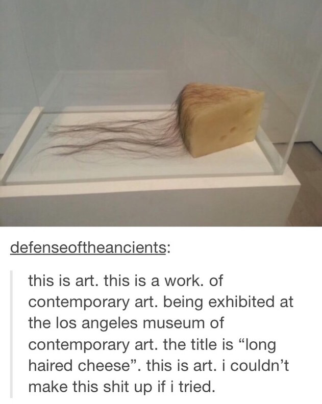 furniture - defenseoftheancients this is art. this is a work. of contemporary art. being exhibited at the los angeles museum of contemporary art. the title is "long haired cheese". this is art. i couldn't make this shit up if i tried.
