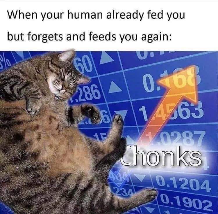your human already fed you but forgets - When your human already fed you but forgets and feeds you again 1,286 A 0.68 2.267 14663 0287 chonks 0.1204 20.1902