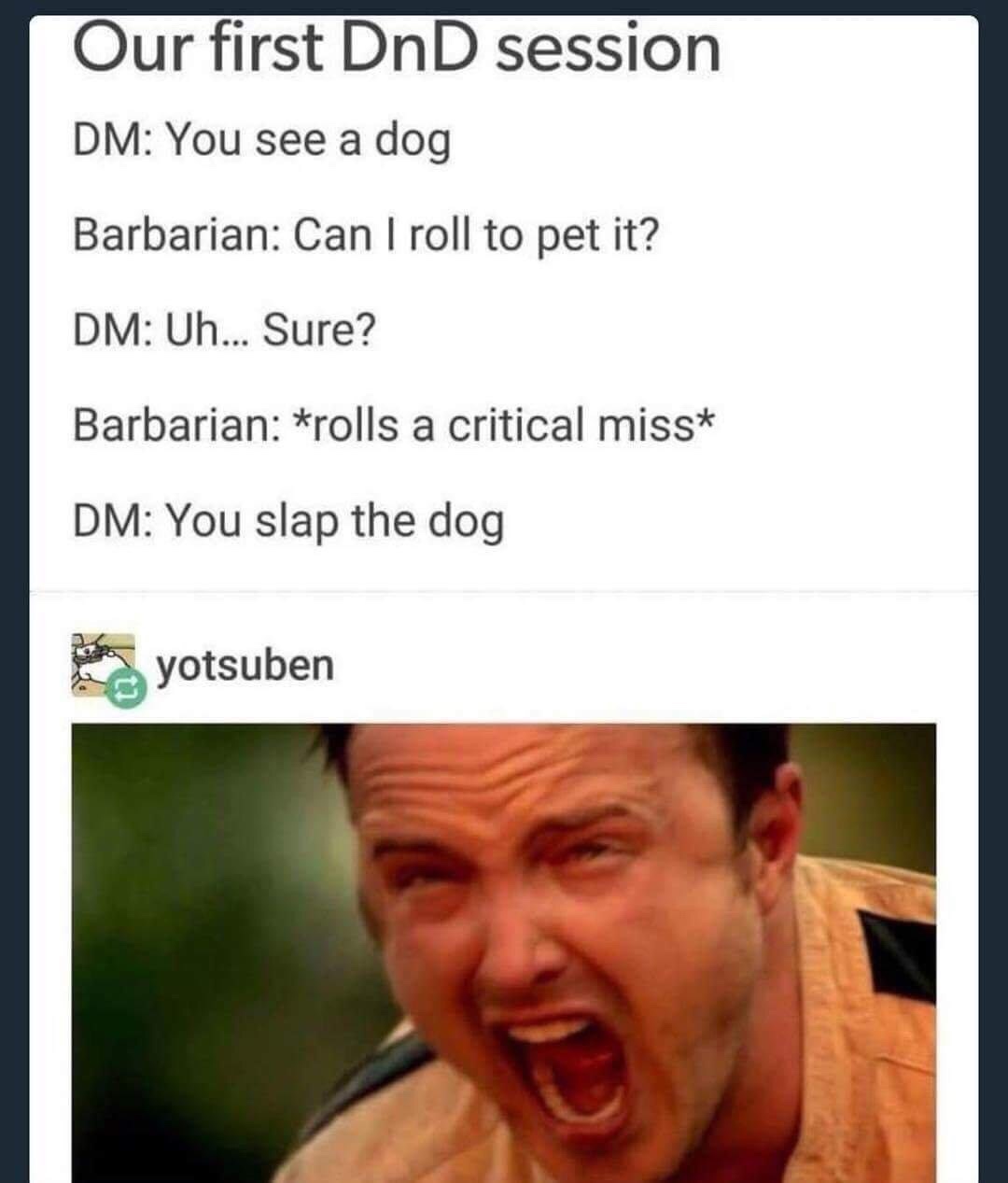 dungeons and dragons dm meme - Our first DnD session Dm You see a dog Barbarian Can I roll to pet it? Dm Uh... Sure? Barbarian rolls a critical miss Dm You slap the dog yotsuben