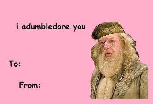 valentines day memes - i adumbledore you To From