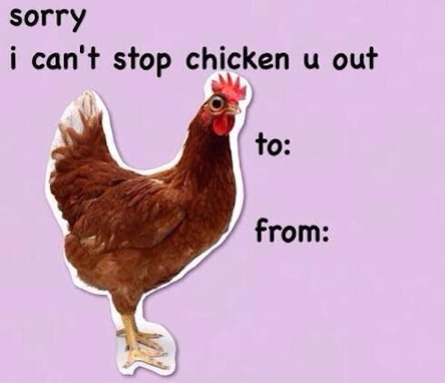 funny valentines ecards - sorry i can't stop chicken u out to from