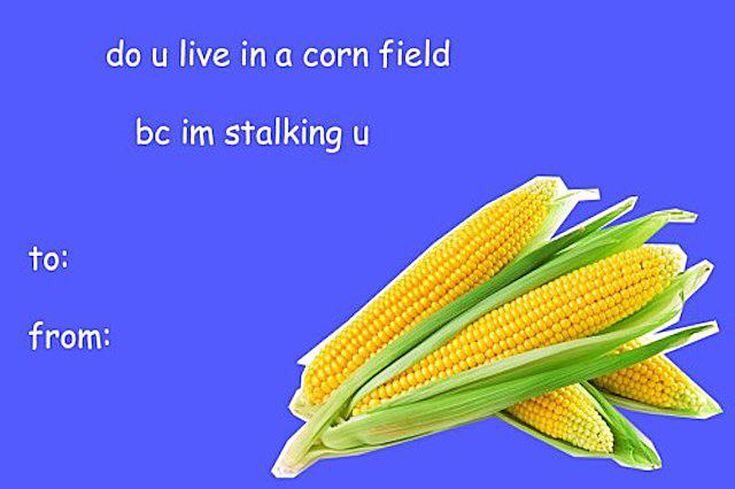 valentines tumblr meme - do u live in a corn field bc im stalking u to from