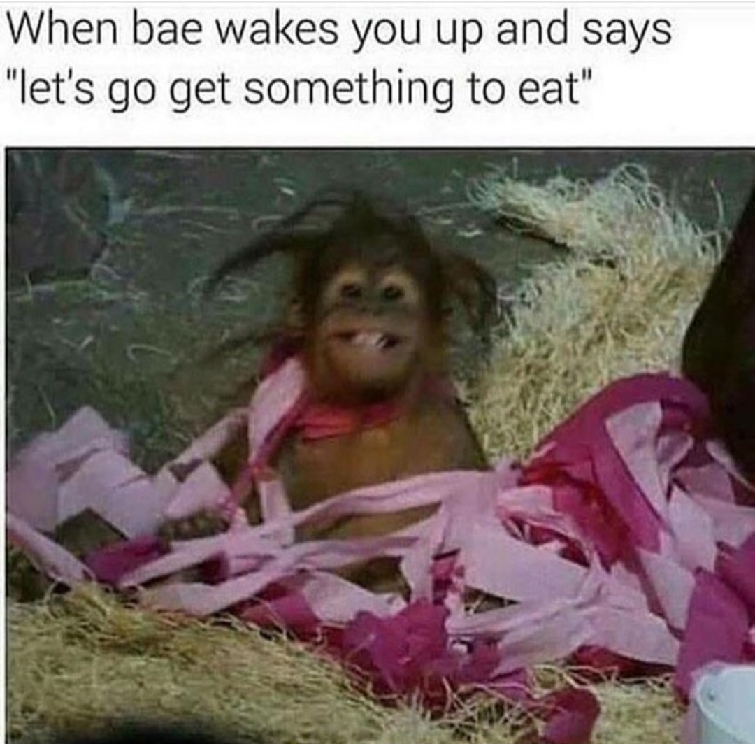 you wake up monkey meme - When bae wakes you up and says "let's go get something to eat"