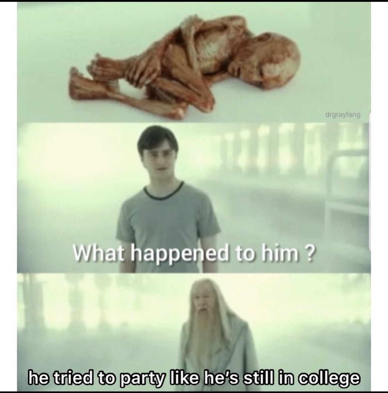 voldemort fetus - drgrayfang What happened to him? he tried to party he's still in college