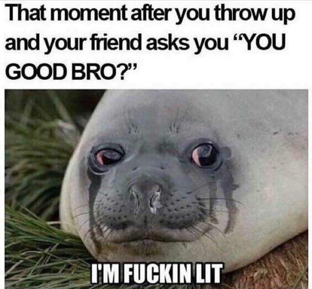 im fucking lit meme - That moment after you throw up and your friend asks you "You Good Bro?" I'M Fuckin Lit