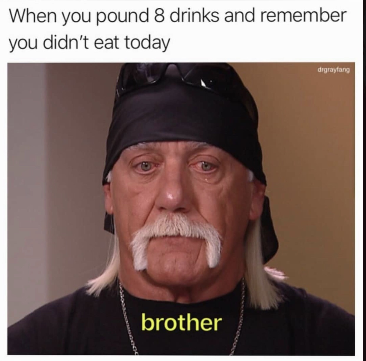 brother meme hulk hogan - When you pound 8 drinks and remember you didn't eat today drgrayfang brother
