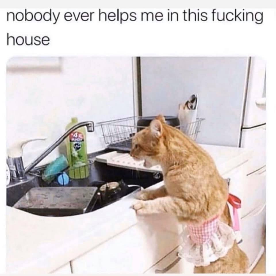 nobody ever helps me in this house - nobody ever helps me in this fucking house