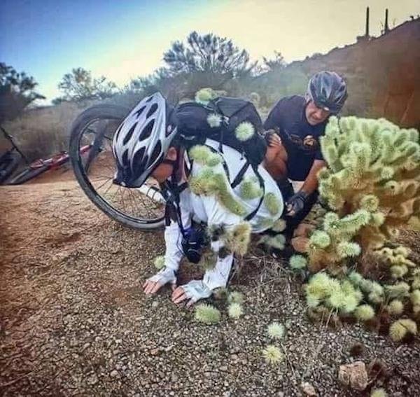 jumping cactus bike rider