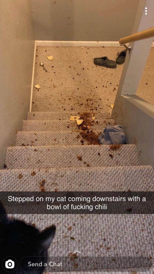 floor - Stepped on my cat coming downstairs with a bowl of fucking chili O Send a Chat