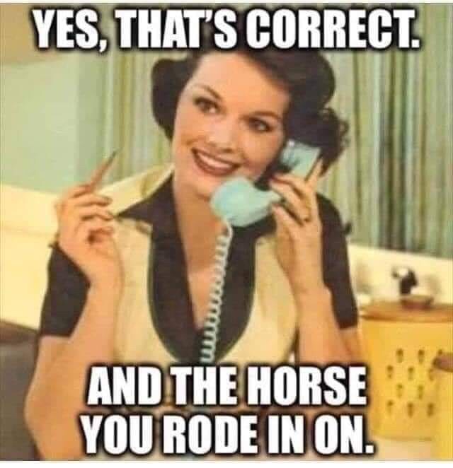 lady on phone meme - Yes, That'S Correct. And The Horse You Rode In On.