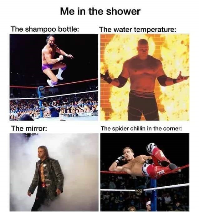 me in the shower meme wrestling - Me in the shower The shampoo bottle The water temperature The mirror The spider chillin in the corner