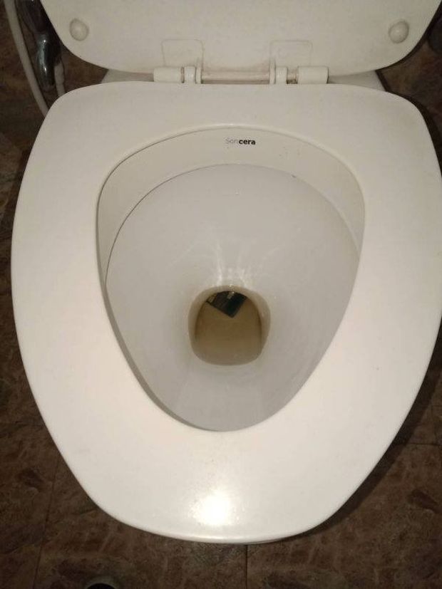 toilet seat - Sorcera