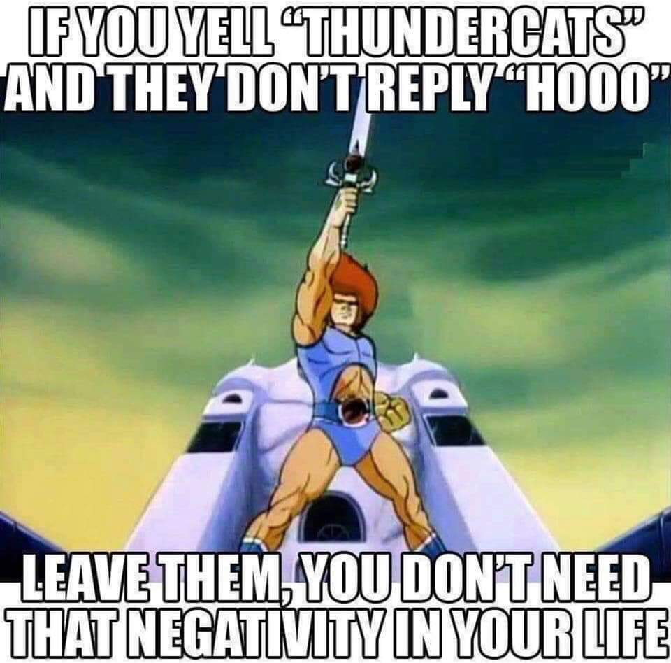 if you yell thundercats - If You Yell Thundercats" And They Don'T H000" Leave Them, You Dont Need That Negativity In Your Life