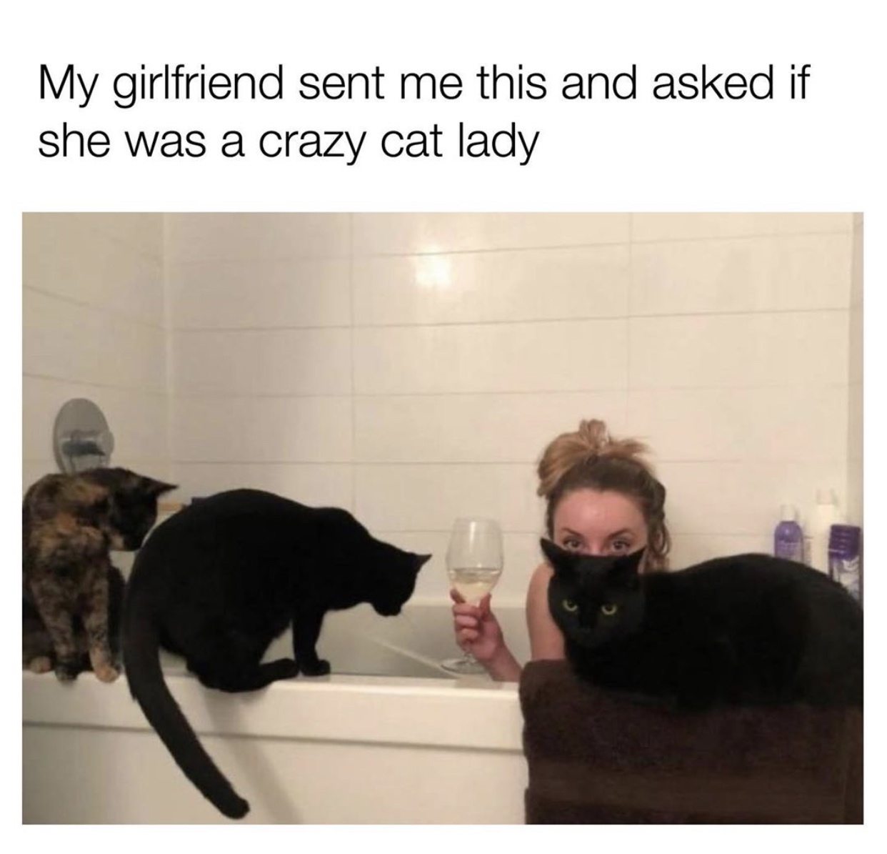 photo caption - My girlfriend sent me this and asked if she was a crazy cat lady