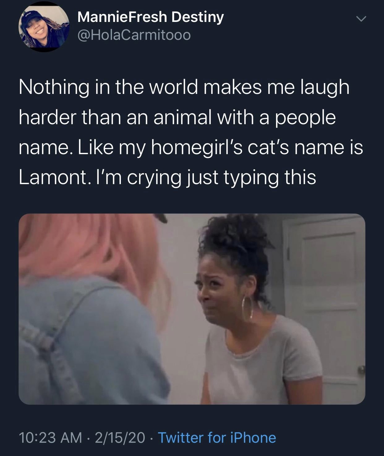 photo caption - Mannie Fresh Destiny Nothing in the world makes me laugh harder than an animal with a people name. my homegirl's cat's name is Lamont. I'm crying just typing this 21520 Twitter for iPhone