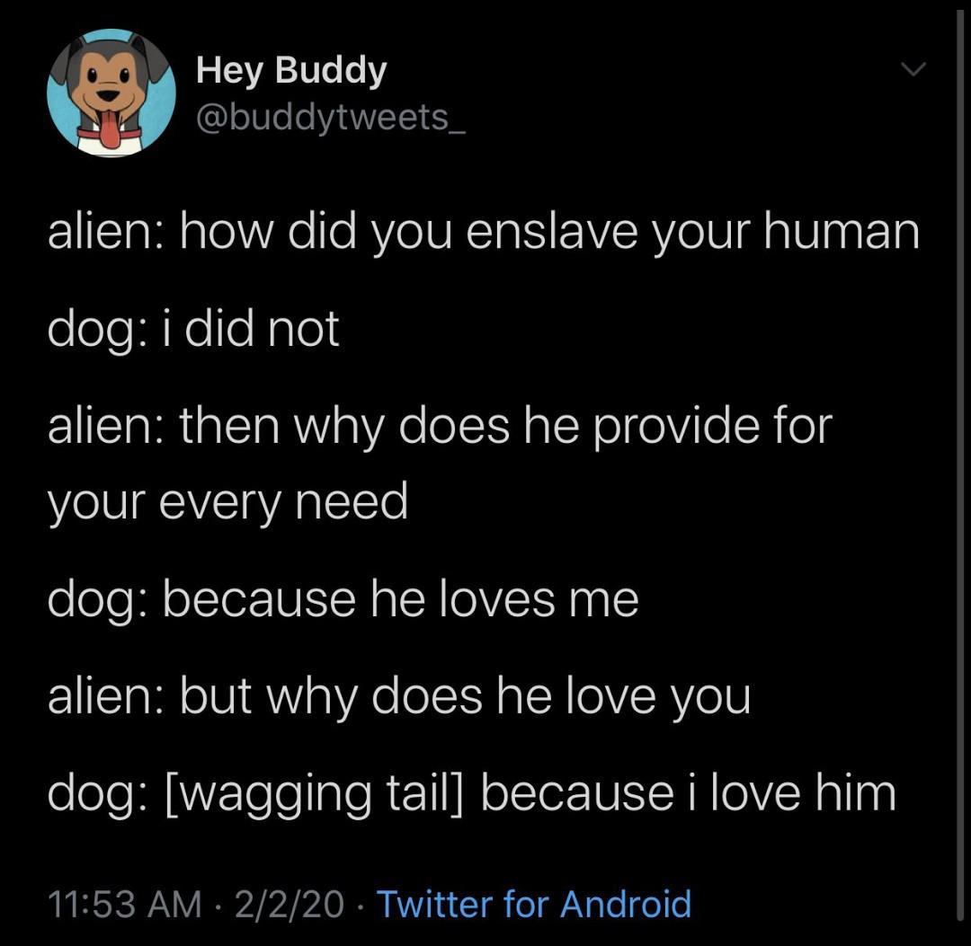 atmosphere - Hey Buddy alien how did you enslave your human dog i did not alien then why does he provide for your every need dog because he loves me alien but why does he love you dog wagging tail because i love him 2220 Twitter for Android,