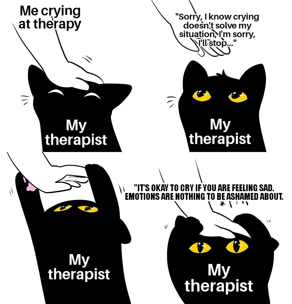 cat dragon - Me crying at therapy "Sorry, I know crying doesn't solve my situation, I'm sorry, V'll stop..." My therapist My therapist "It'S Okay. To Cry If You Are Feeling Sad. Emotions Are Nothing To Be Ashamed About. My therapist My therapist