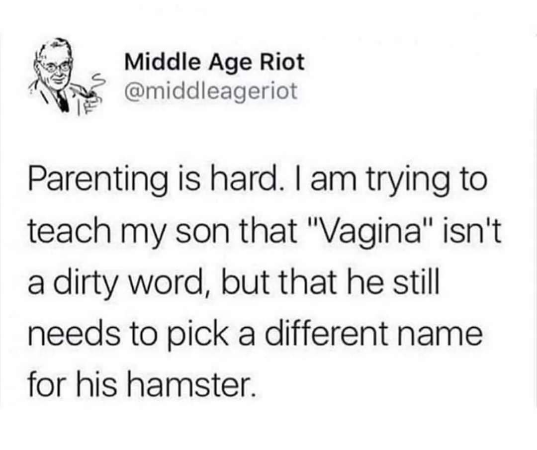 haha sploosh - Middle Age Riot Parenting is hard. I am trying to teach my son that "Vagina" isn't a dirty word, but that he still needs to pick a different name for his hamster.