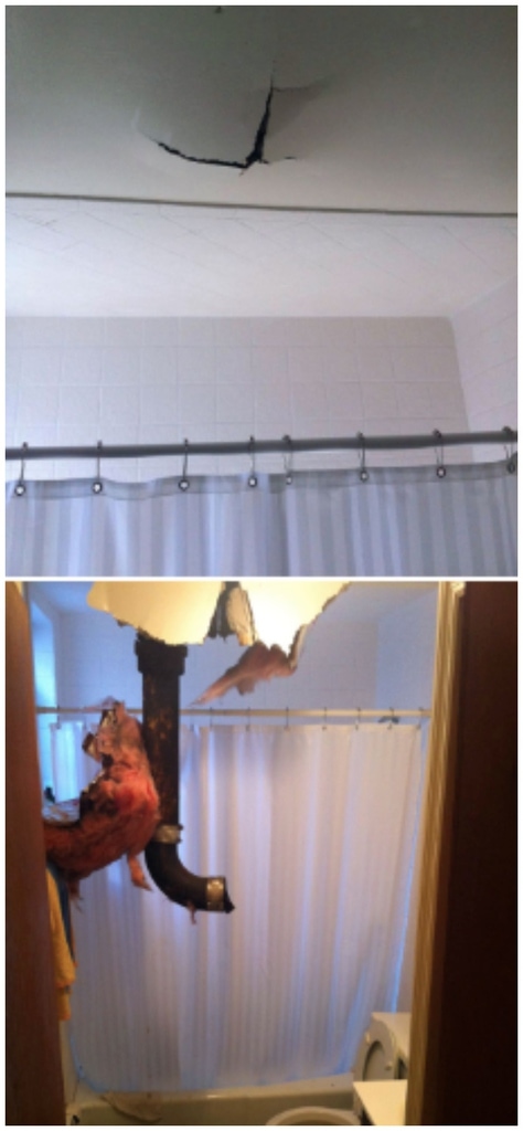 18 Renting Nightmares That Are Old Enough To Move Out