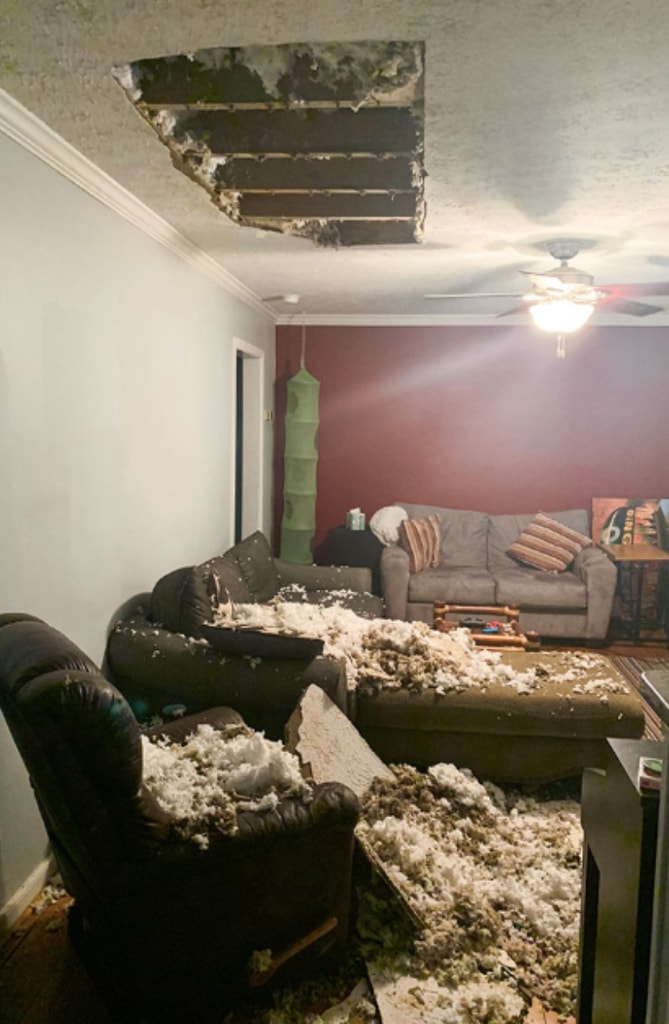 18 Renting Nightmares That Are Old Enough To Move Out