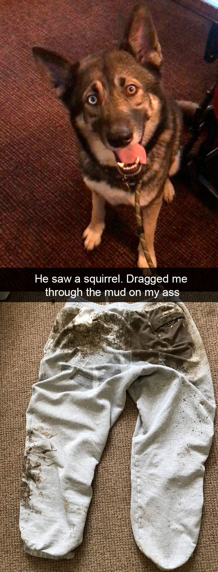 funny having a bad day - He saw a squirrel. Dragged me through the mud on my ass