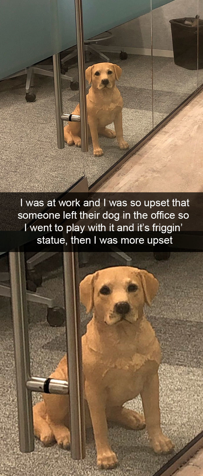 Dog - I was at work and I was so upset that someone left their dog in the office so I went to play with it and it's friggin' statue, then I was more upset
