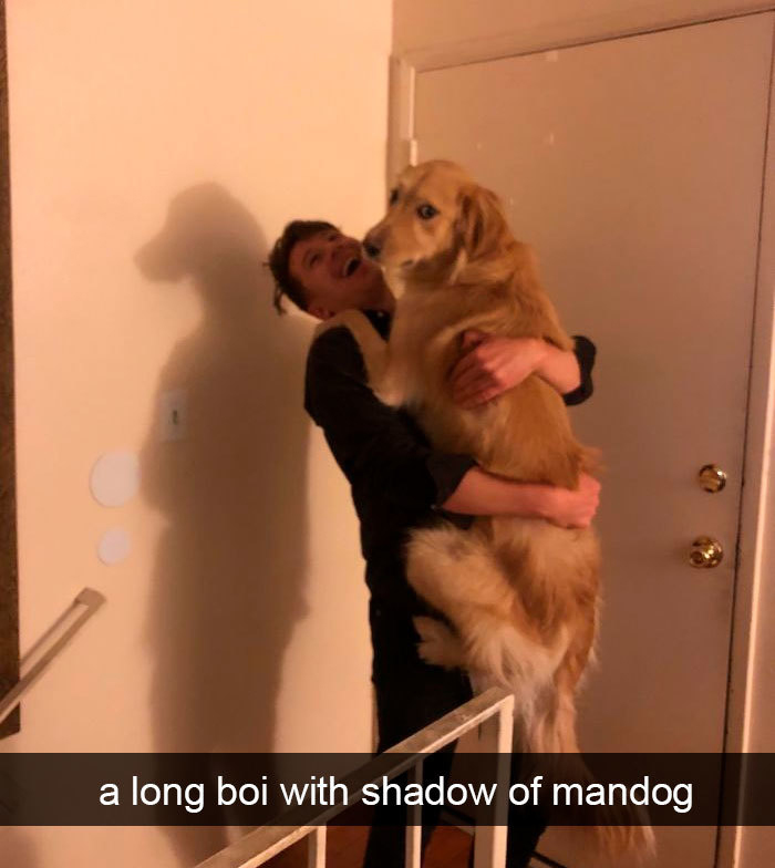 photo caption - a long boi with shadow of mandog