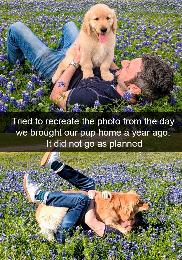 grass - Tried to recreate the photo from the day we brought our pup home a year ago. It did not go as planned