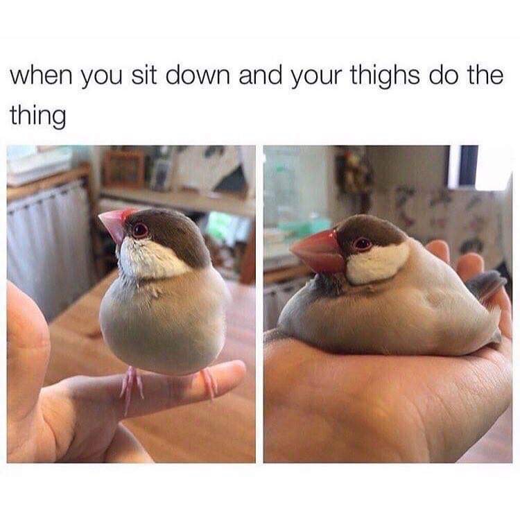your thighs do the thing - when you sit down and your thighs do the thing