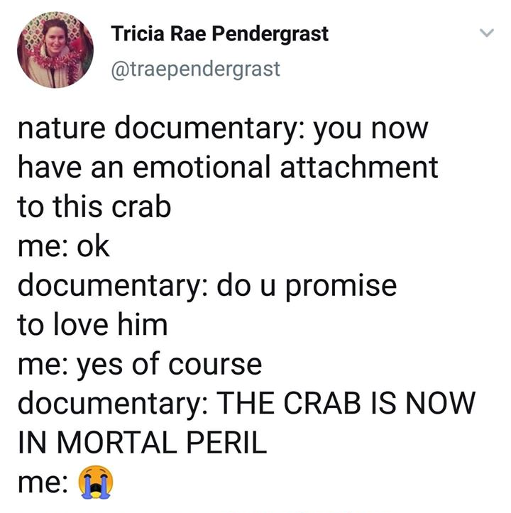 angle - Tricia Rae Pendergrast nature documentary you now have an emotional attachment to this crab me ok documentary do u promise to love him me yes of course documentary The Crab Is Now In Mortal Peril me