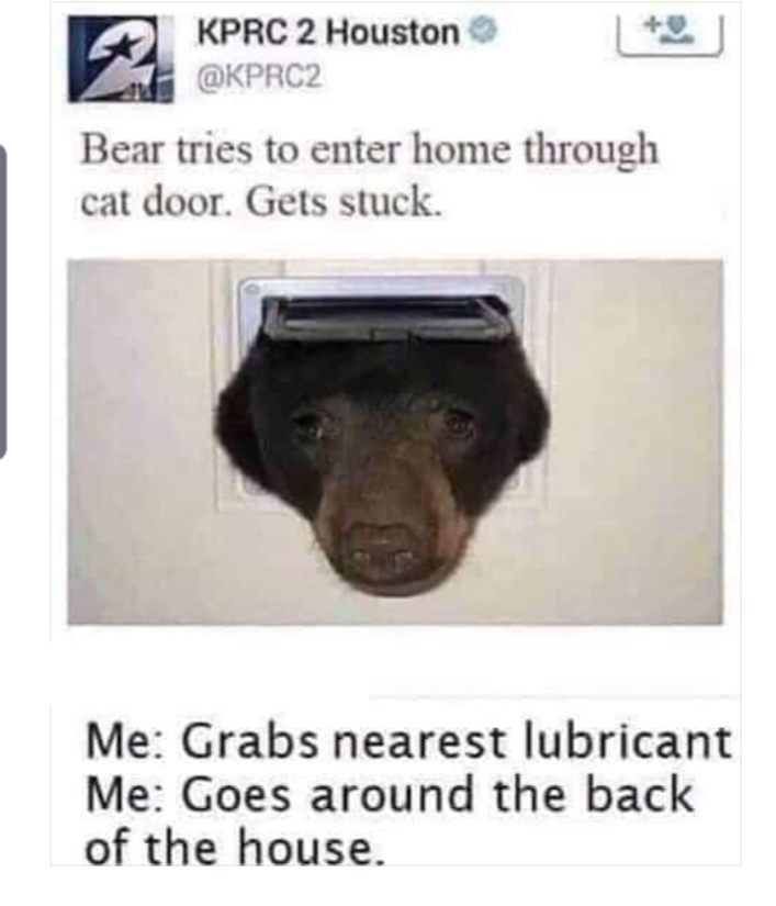 dirty meme - photo caption - Kprc 2 Houston Bear tries to enter home through cat door. Gets stuck. Me Grabs nearest lubricant Me Goes around the back of the house.