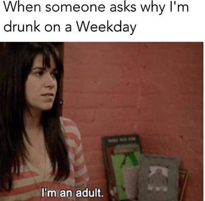 im an adult meme - When someone asks why I'm drunk on a Weekday I'm an adult.