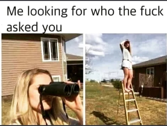 looking for who asked you meme - Me looking for who the fuck asked you