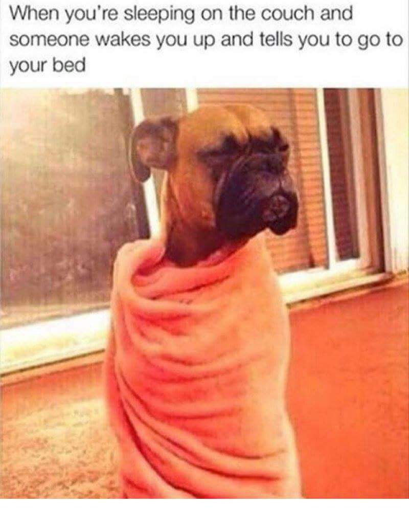 relatable sleep memes - When you're sleeping on the couch and someone wakes you up and tells you to go to your bed