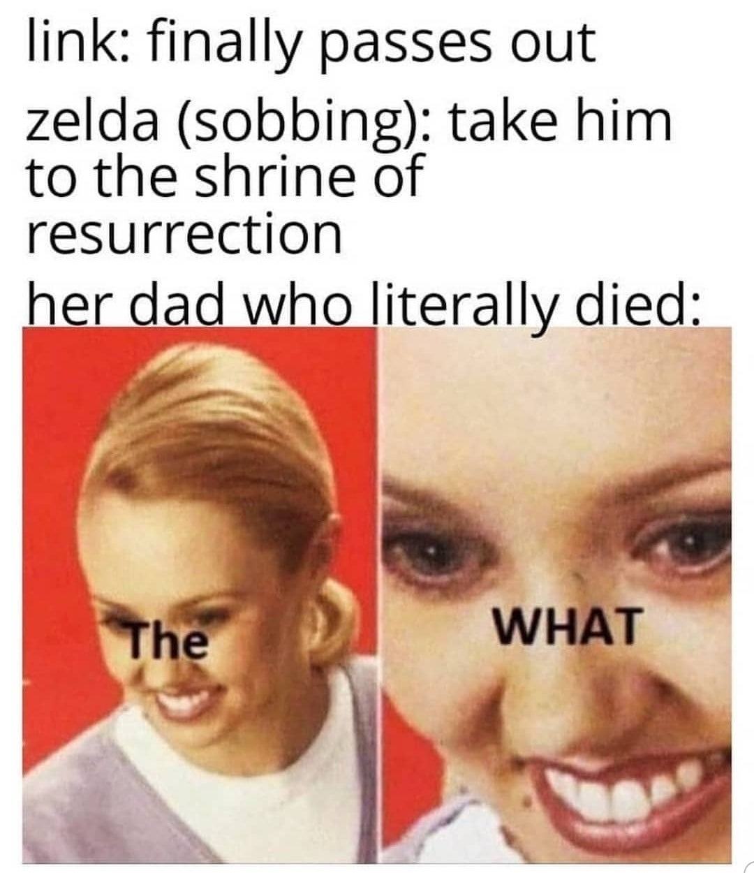 ww3 florida man meme - link finally passes out zelda sobbing take him to the shrine of resurrection her dad who literally died The What