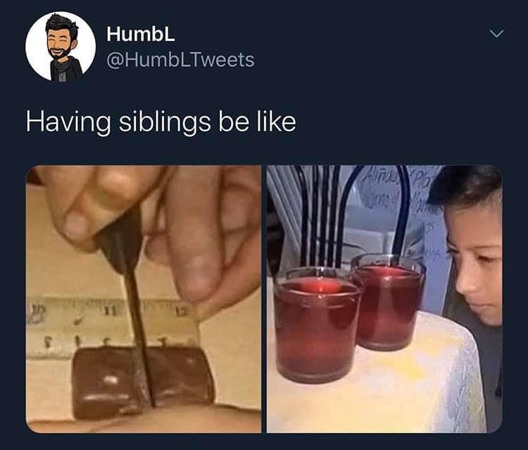 Humour - HumbL Having siblings be