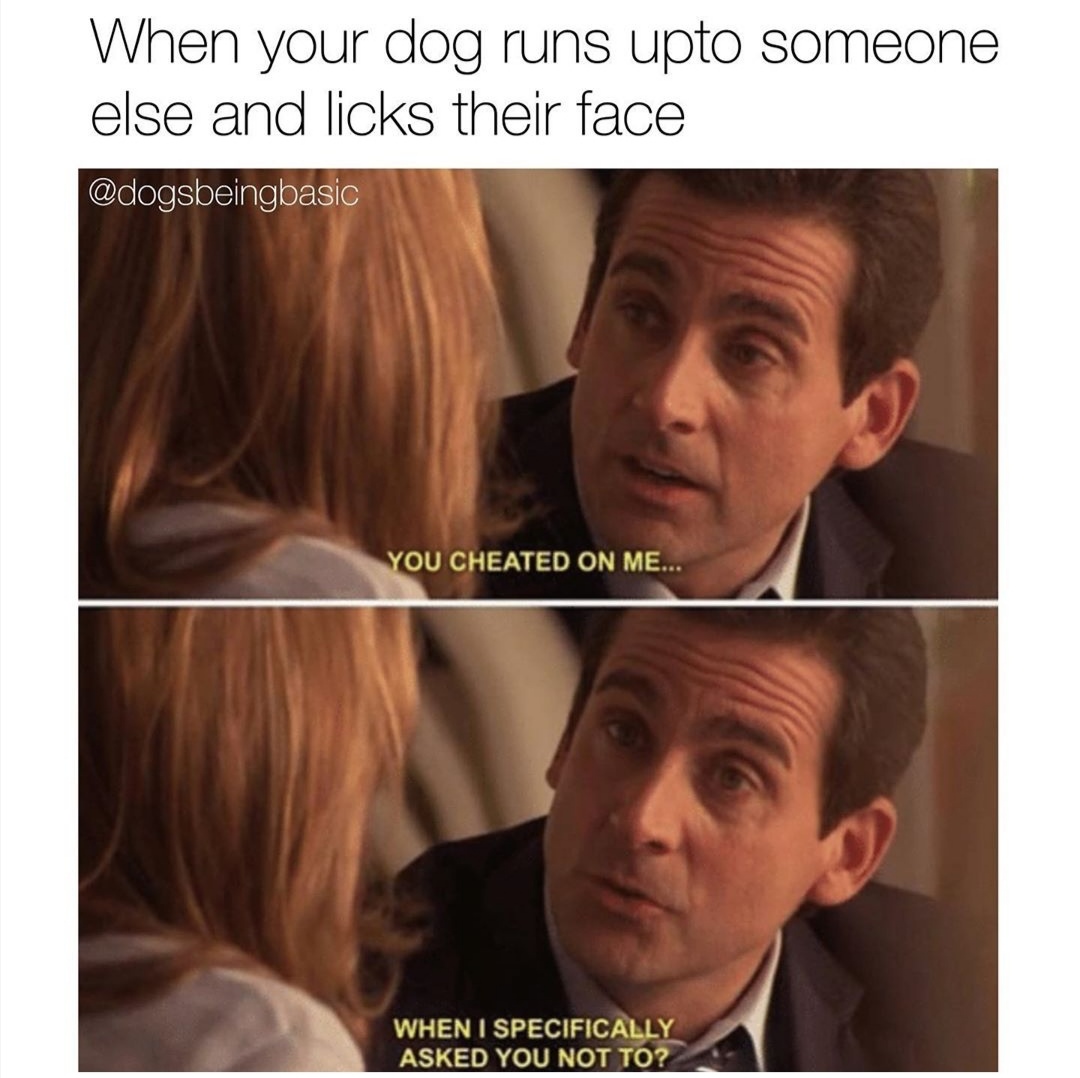 30 The Office Memes That Will Let YOU Be The Regional Manager
