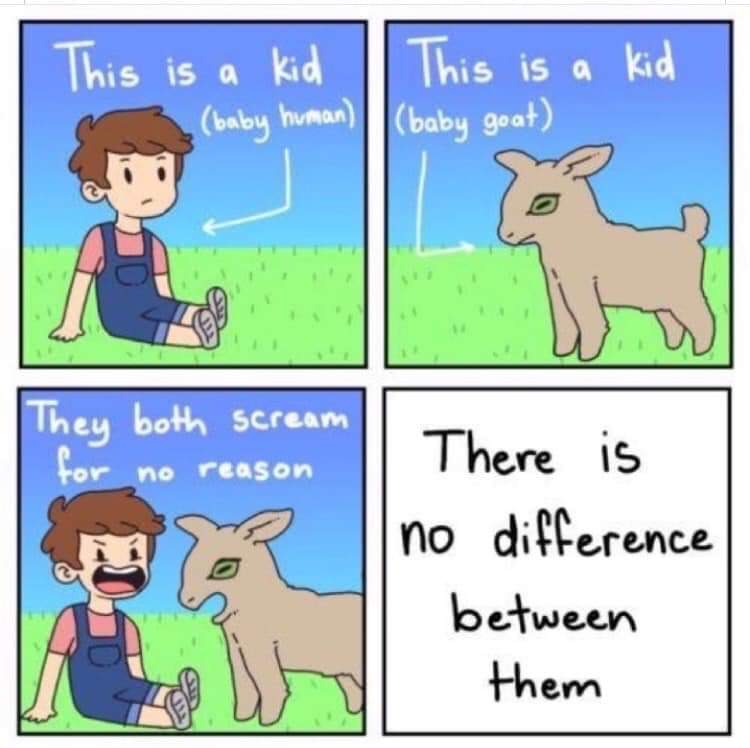 kid meme - This is a kid baby human This is a kid baby goat They both scream Scream reason There is I no difference between them