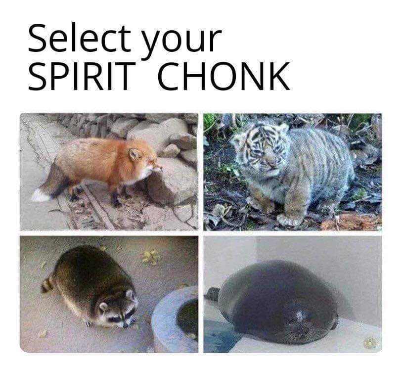 spirit chonk - Select your Spirit Chonk