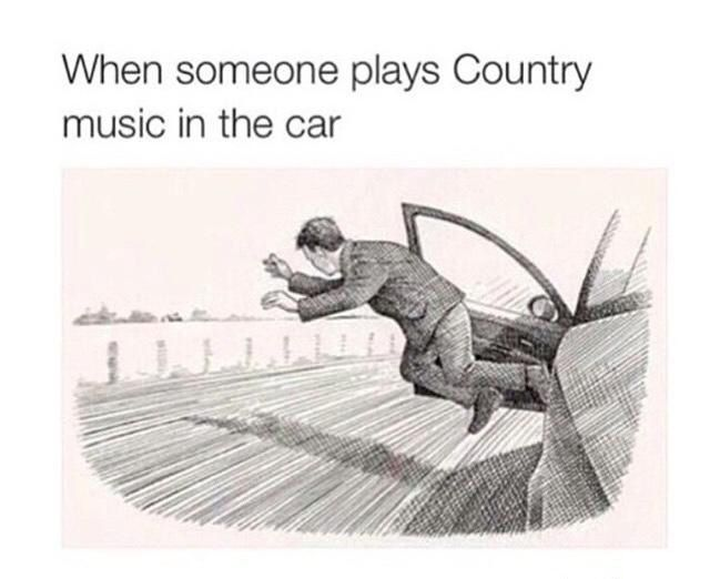 someone plays country music - When someone plays Country music in the car