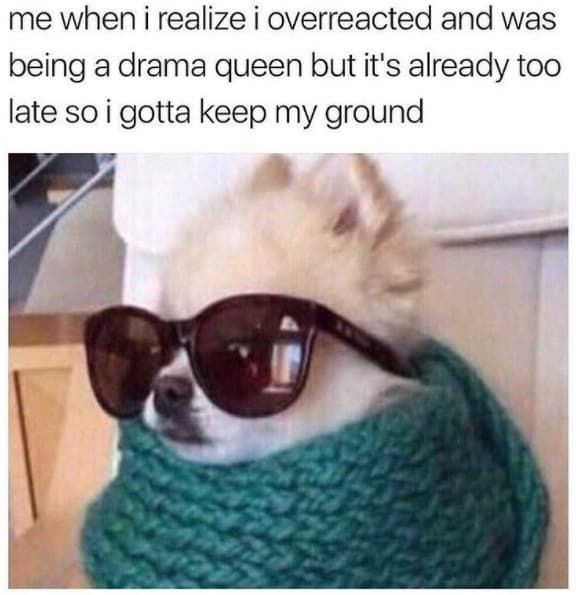 drama queen memes - me when i realize i overreacted and was being a drama queen but it's already too late so i gotta keep my ground