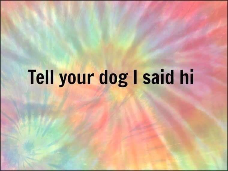 sky - Tell your dog I said hi