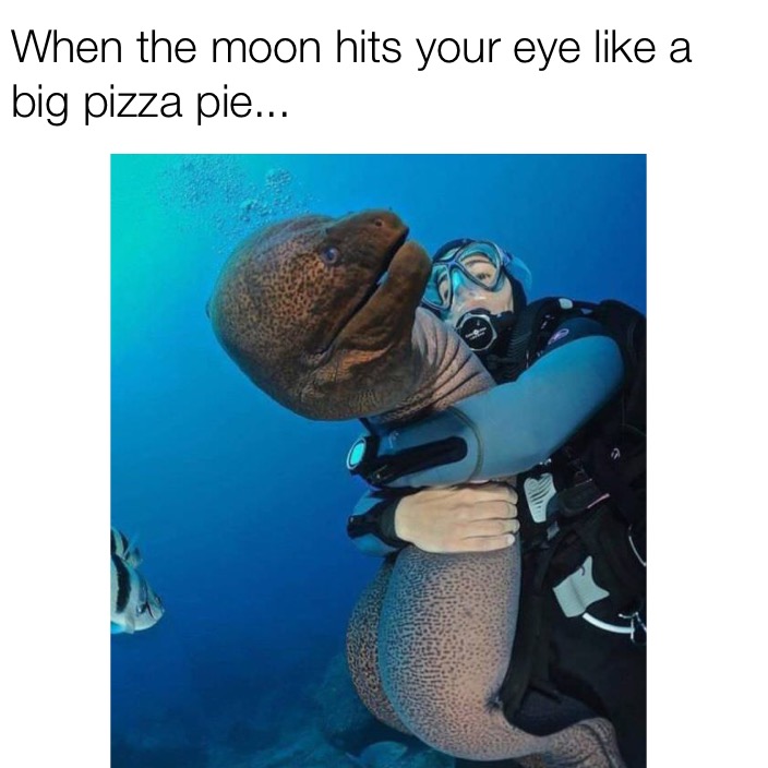 moray meme - When the moon hits your eye a big pizza pie...