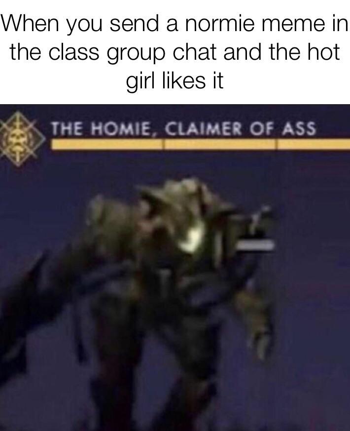 Internet meme - When you send a normie meme in the class group chat and the hot girl it The Homie, Claimer Of Ass