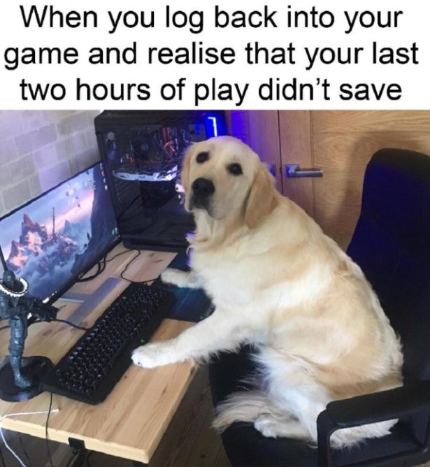 gamer dog - When you log back into your game and realise that your last two hours of play didn't save