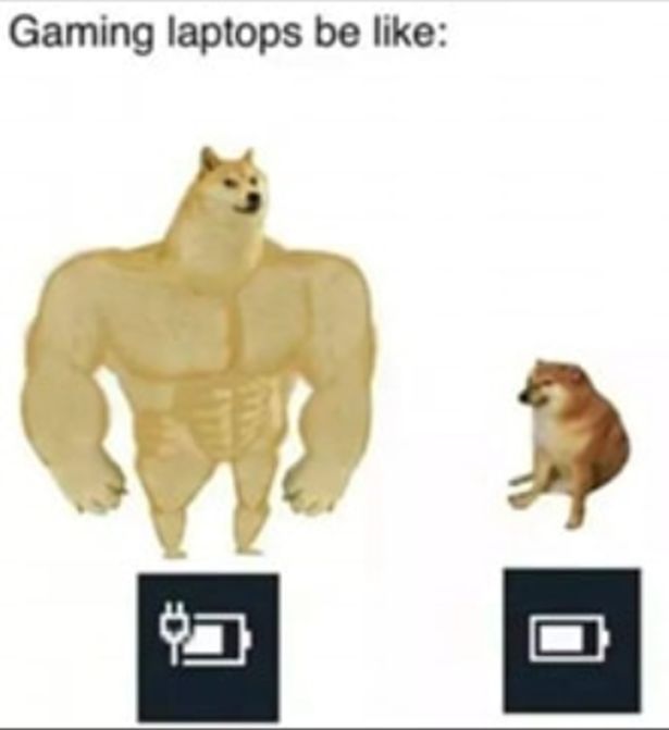 big dog small dog meme template - Gaming laptops be