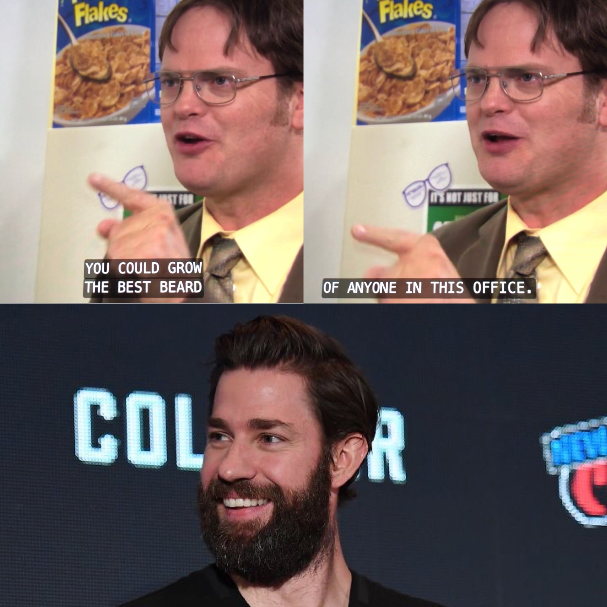 dwight was right - Flalies Flakes Stfol Is Not Just For You Could Grow The Best Beard Of Anyone In This Office. Color