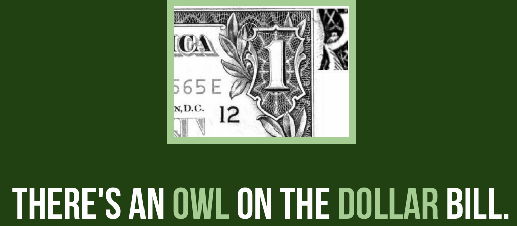 graphic design - Ca 665 E 12 N, D.C. There'S An Owl On The Dollar Bill.
